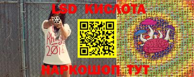 гашик Бузулук