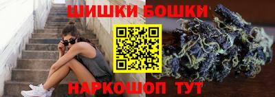 гидропоника Будённовск