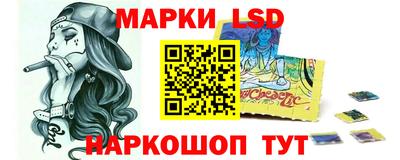 гидропоника Будённовск