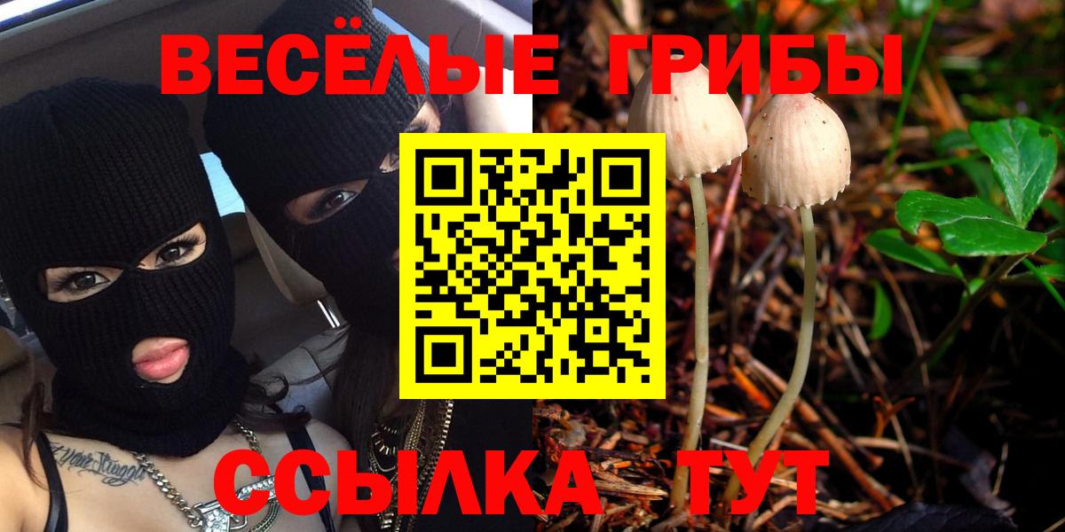 Галлюциногенные грибы Psilocybine cubensis Муром