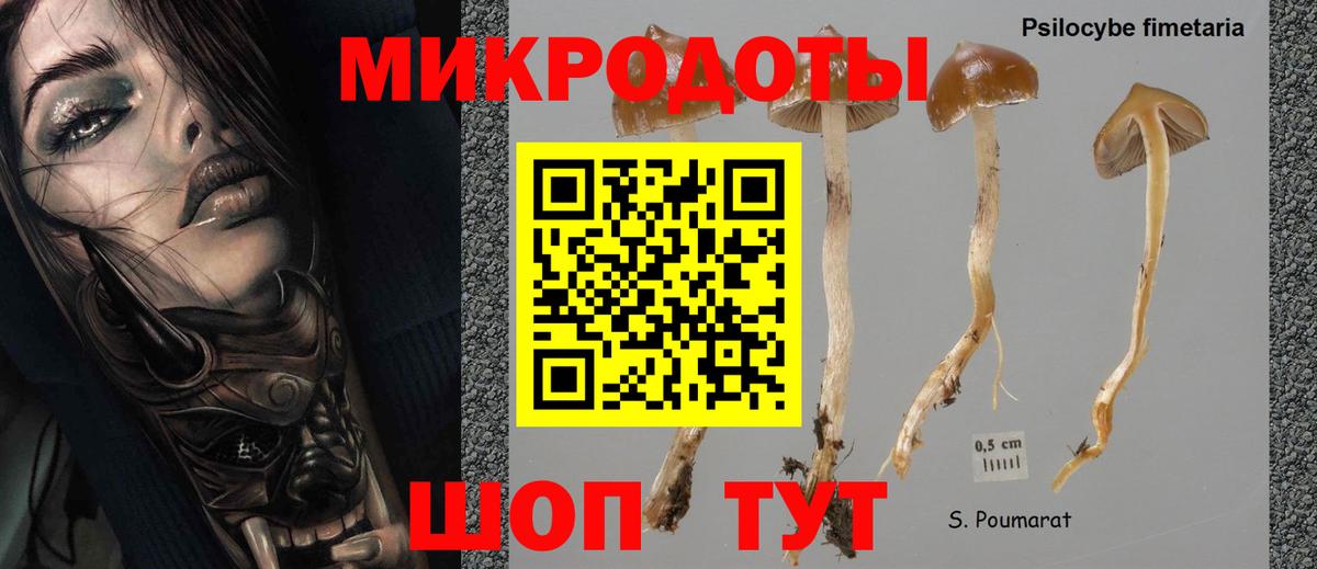 Псилоцибиновые грибы MAGIC MUSHROOMS  Галлюциногенные грибы Psilocybe  Вход с VPN  Муром 